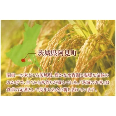 茨城県産コシヒカリ　精米　5kg(85-11)