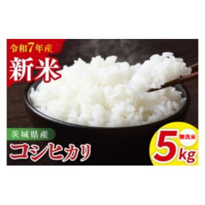 ��錧�Y�R�V�q�J���@�����ā@5kg(85-14)