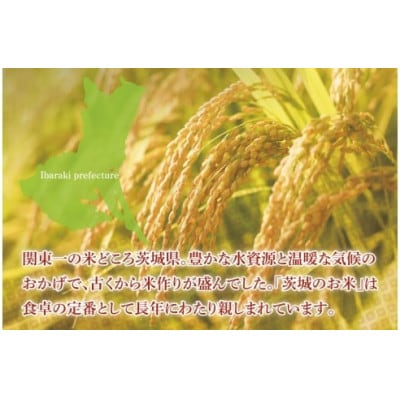 茨城県産コシヒカリ　無洗米　5kg(85-14)