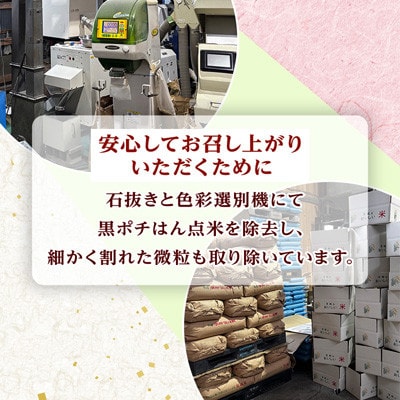阿見町産 農家の美味しいお米 精米 10kg(5kg×2袋)