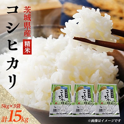 【令和8年産】新米 先行受付 茨城県産 コシヒカリ 精米 15kg(5kg×3袋)