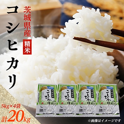 【令和8年産】新米 先行受付 茨城県産 コシヒカリ 精米 20kg(5kg×4袋)