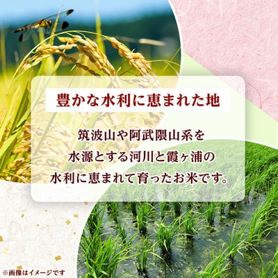 【令和8年産】新米 先行受付 茨城県産 コシヒカリ 精米 20kg(5kg×4袋)