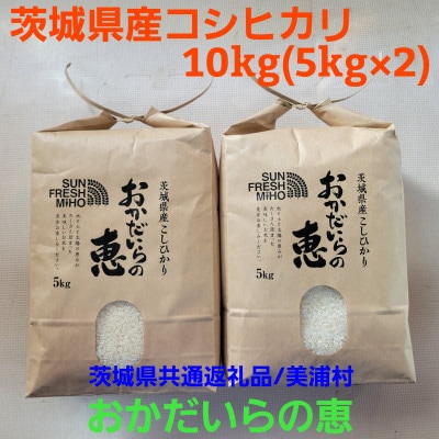 茨城県共通返礼品/美浦村【令和7年産】茨城県産コシヒカリおかだいらの恵10kg　精米(5kg×2袋)