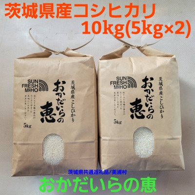 茨城県共通返礼品/美浦村【令和7年産】茨城県産コシヒカリおかだいらの恵10kg　精米(5kg×2袋)