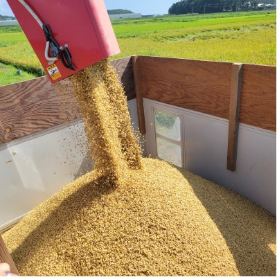 茨城県共通返礼品/美浦村【令和7年産】茨城県産コシヒカリおかだいらの恵10kg　精米(5kg×2袋)