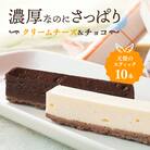 スティックケーキ 天使のスティック チーズ チョコ 10個入り (各5個)[No5698-1063]