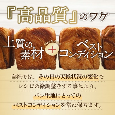 デニッシュ食パン1本　シナモン　【kt010-003】