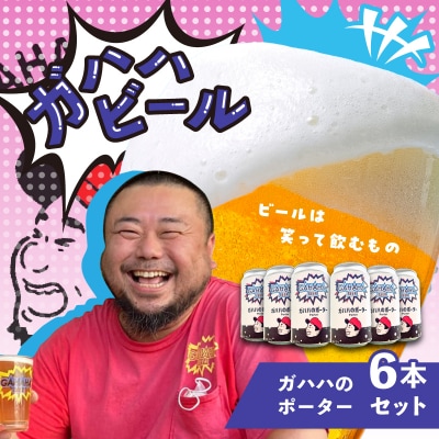ガハハビール　ガハハのポーター6本セット　【kt013-005】