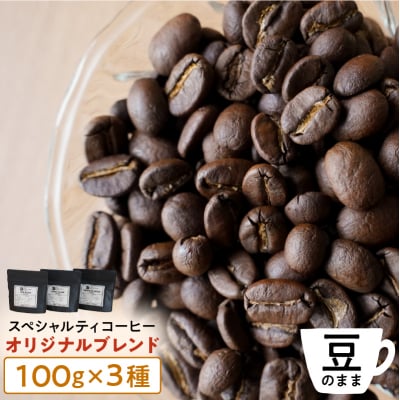 [豆のまま]スペシャルティコーヒー オリジナルブレンド 100g×3種【kt054-003-1】