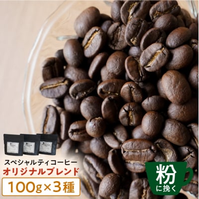 [粉に挽く]スペシャルティコーヒー オリジナルブレンド 100g×3種【kt054-003-2】