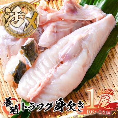 養殖 トラフグ 身欠き【kt058-001】ふぐ ふぐ鍋 てっちり鍋 とらふぐ 