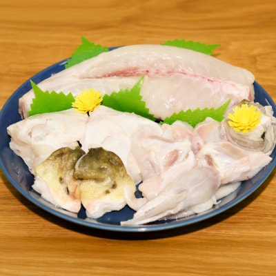 養殖 トラフグ 身欠き【kt058-001】ふぐ ふぐ鍋 てっちり鍋 とらふぐ 
