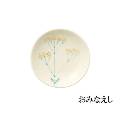 テシオ　花ごよみ 豆皿　2枚組(おみなえし/山帰来) 【kt032-066-2】