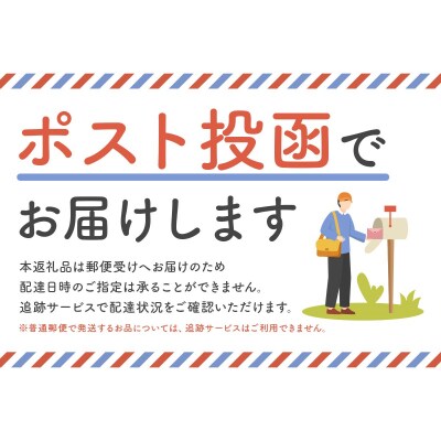 自家焙煎コーヒー　ドリップバッグ10個セット 【kt091-001】