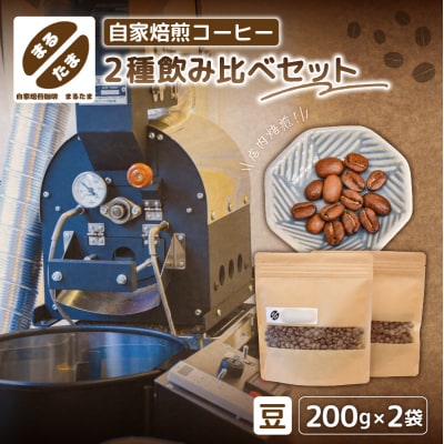 [豆のまま]自家焙煎コーヒー　200g×2種飲み比べセット 【kt091-002-1】