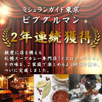 ミシュラン東京ビブグルマン掲載のこってり【黒スープ】角煮スープカレー2人前 【kt107-003】