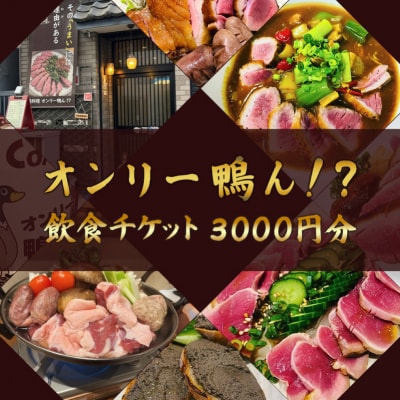 オンリー鴨ん!? 飲食チケット 3000円分(1000円×3枚) 【kt107-005】