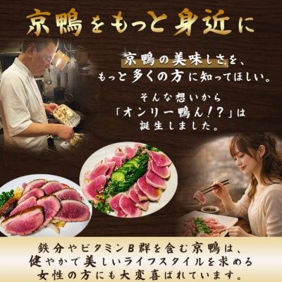 オンリー鴨ん!? 飲食チケット 3000円分(1000円×3枚) 【kt107-005】