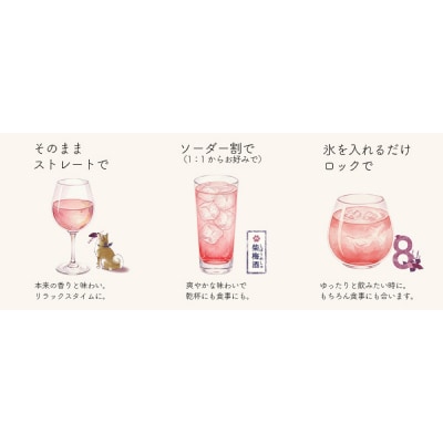 「深川リキュルラボ」クラフトリキュール「8th Ocean 柴梅酒」720ml【kt043-004】
