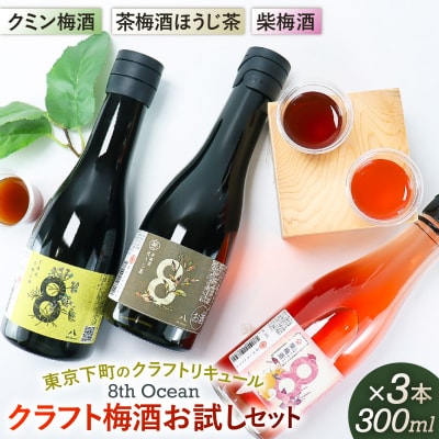 「深川リキュルラボ」クラフト梅酒お試しセット300m×3本 【kt043-006】