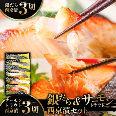 銀だら&サーモントラウト西京漬セット 【kt113-003】