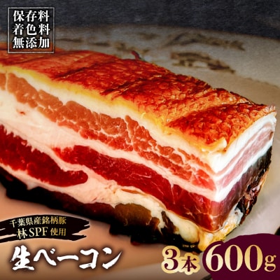 生ベーコン《国産銘柄豚 林SPFプレミアムポーク 豚バラ》3本 600g 【kt088-005-2】