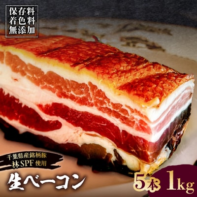 生ベーコン《国産銘柄豚 林SPFプレミアムポーク 豚バラ》5本 1kg 【kt088-005-3】