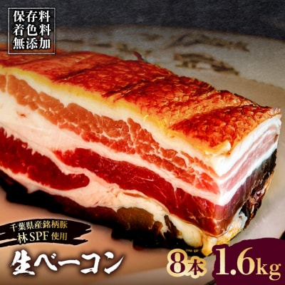 生ベーコン《国産銘柄豚 林SPFプレミアムポーク 豚バラ》8本 1.6k 【kt088-005-4】