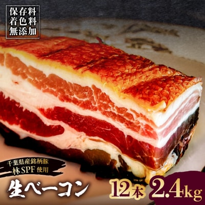 生ベーコン《国産銘柄豚 林SPFプレミアムポーク》12本 2.4kg【kt088-005-5】