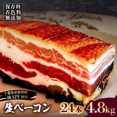 生ベーコン《国産銘柄豚 林SPFプレミアムポーク》24本 4.8kg【kt088-005-7】