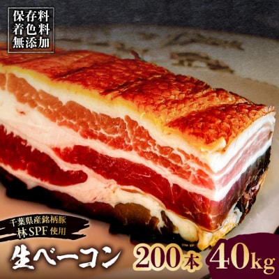 生ベーコン《国産銘柄豚 林SPFプレミアムポーク》200本 40kg【kt088-005-12】