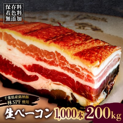 生ベーコン《国産銘柄豚 林SPFプレミアムポーク》1000本 200kg【kt088-005-15】