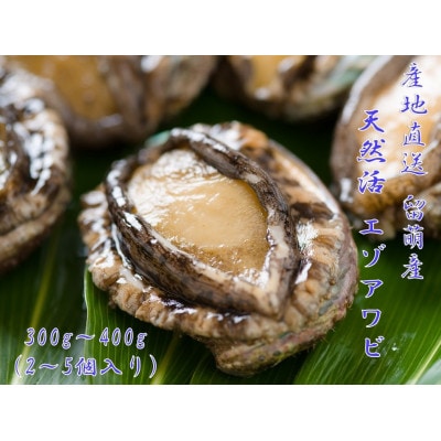 【産地直送　留萌産】天然活エゾアワビ(300g～400g)