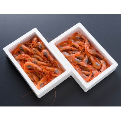 【漁師捕れたて　留萌産】ナンバンエビ(甘エビ)　400g×2箱入り