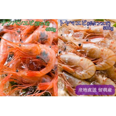 【漁師採りたて　留萌産】トヤマエビ(ぼたんえび)・ナンバンエビ　各1箱