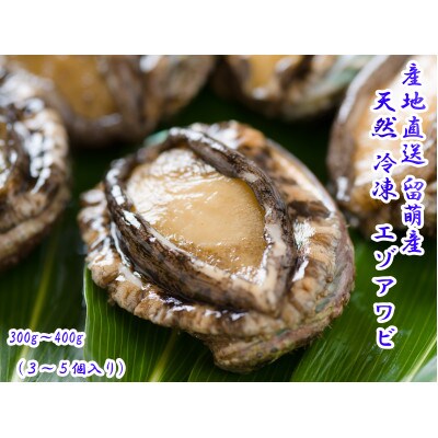 【産地直送 留萌産】 天然<冷凍>エゾアワビ(300g~400g)