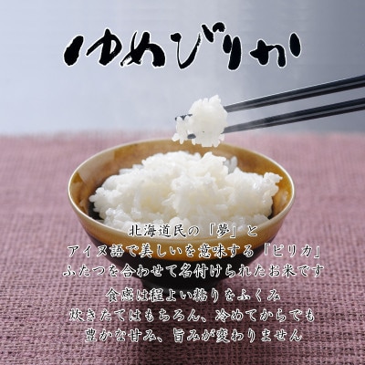 【令和7年産】北海道留萌産ゆめぴりか　10kg(5kg×2袋)