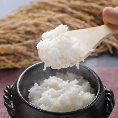 【令和7年産】北海道留萌産ゆめぴりか　10kg(5kg×2袋)