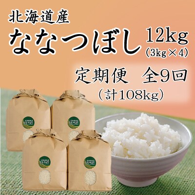 【毎月定期便】北海道留萌産ななつぼし　12kg(3kg×4袋)全9回