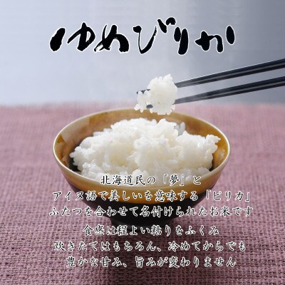 【毎月定期便】北海道留萌産ゆめぴりか　10kg(5kg×2袋)全9回