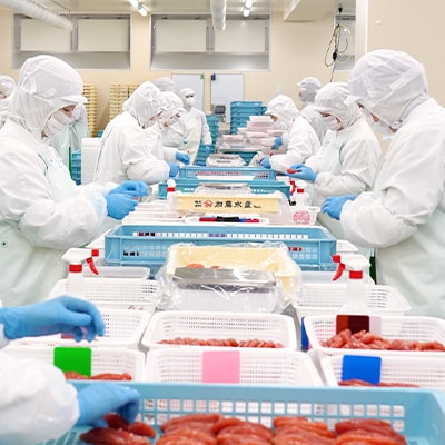 【訳あり】辛子明太子 切子セット 2kg(500g×4個入れ) 小分け