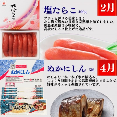 【発送月固定定期便】留萌伝統の味　海の贈りもの定期便全6回