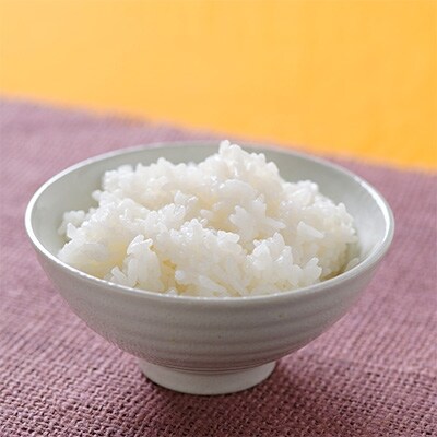2022年1月発送開始『定期便』白米　10kg(5kg×2)　ななつぼし【北海道留萌産】全12回