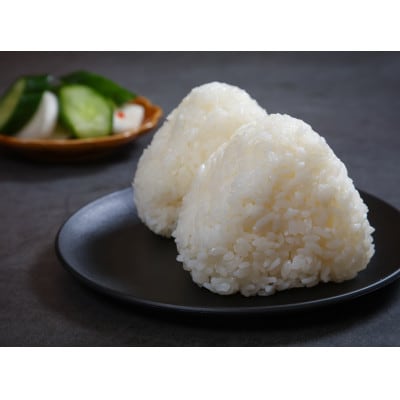 【毎月定期便】金王冠 JAるもい 精米 ななつぼし 10kg全2回