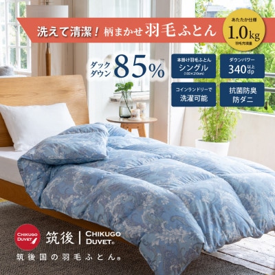 【訳あり】洗える羽毛本掛け布団85%1.0kgシングル(ブルー・グリーン系)【筑後国の羽毛ふとん】
