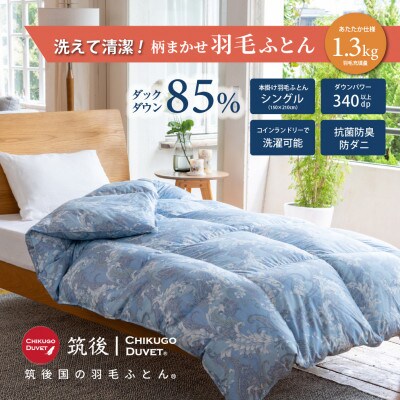 【訳あり】洗える羽毛本掛け布団85%1.3kgシングル(ブルー・グリーン系)【筑後国の羽毛ふとん】