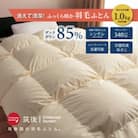 【訳あり】洗える羽毛本掛け布団85%1.0kgシングル(無地ベージュ系)【筑後国の羽毛ふとん】