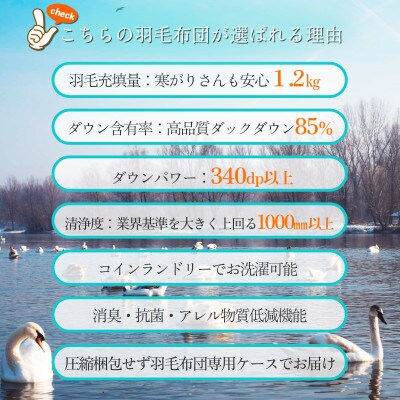 【訳あり】洗える羽毛本掛け布団85%1.2kgシングル(無地アイボリー)【筑後国の羽毛ふとん】