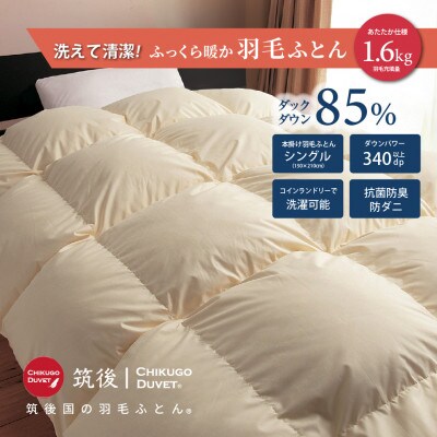 【訳あり】洗える羽毛本掛け布団85%1.6kgシングル(無地ベージュ系)【筑後国の羽毛ふとん】